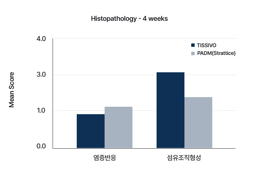 Histopathology 4주 염증반응 비교 차트